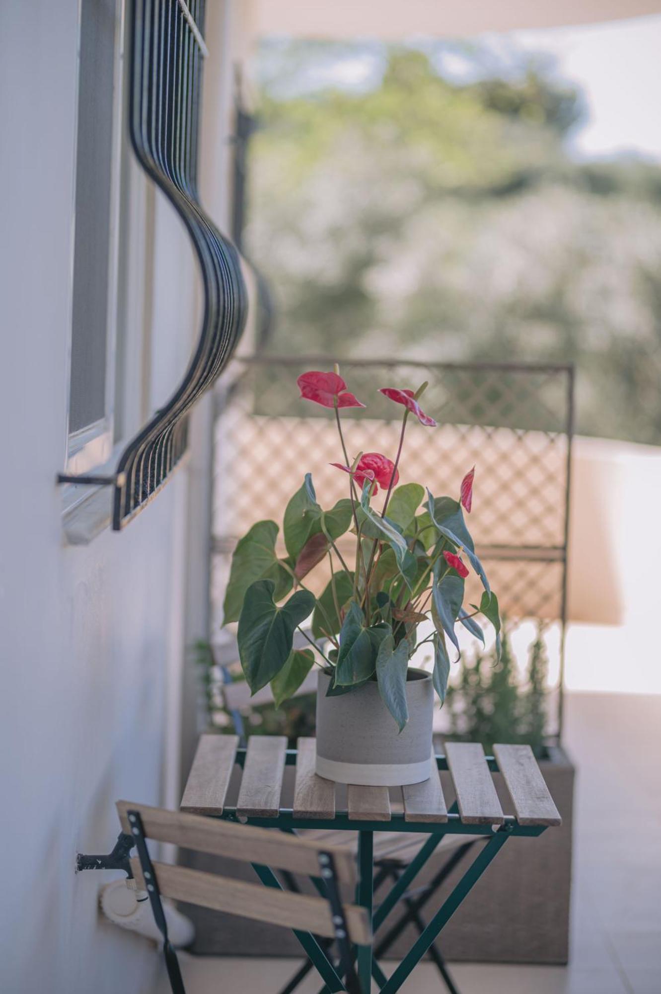 Summer Blue Apartments Chania 하니아 외부 사진